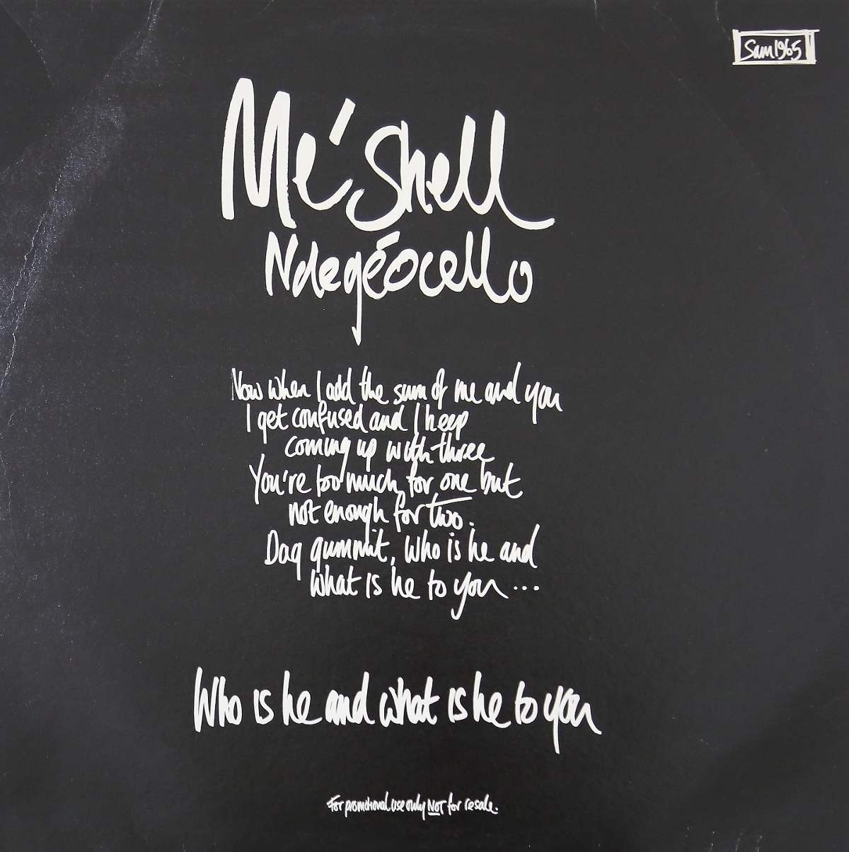 Meshell Ndegeocello - Who is he and what is he to you (Danny Tenaglia / Cutfather & Joe / Original Mixes) 2 x Vinyl