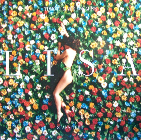 Lisa Stansfield - Time to make you mine (3 Masters At Work Mixes / 2 Original Mixes / Orb Remix) Vinyl 12"