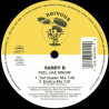Sandy B - Feel like singin (David Morales Def Classic mix / DM Erotica mix / 2 BOP Mixes) Vinyl